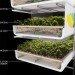 hydroponic farm, hydroponic vegetables, grow hydroponic vegetables, aerofarm, saudi arabia farm