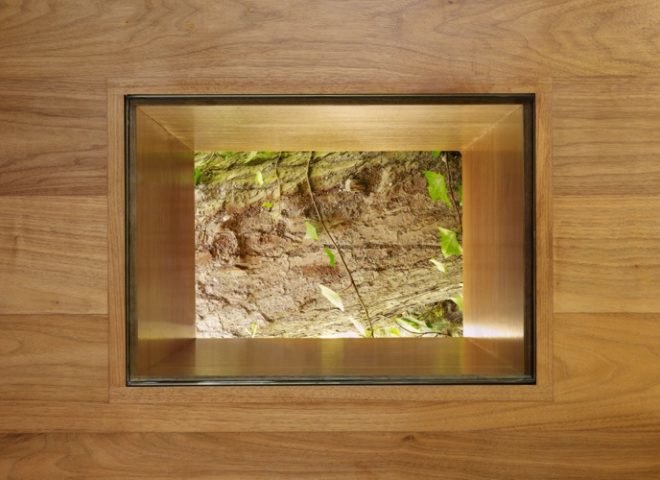 Rockefeller Partner Architects, treehouse, la treehouse, la retreat, la green building, micro retreat, backyard retreat, backyard studio, green studio, Los Angeles green studio, butterfly roof, treehouse design, tree house green design,