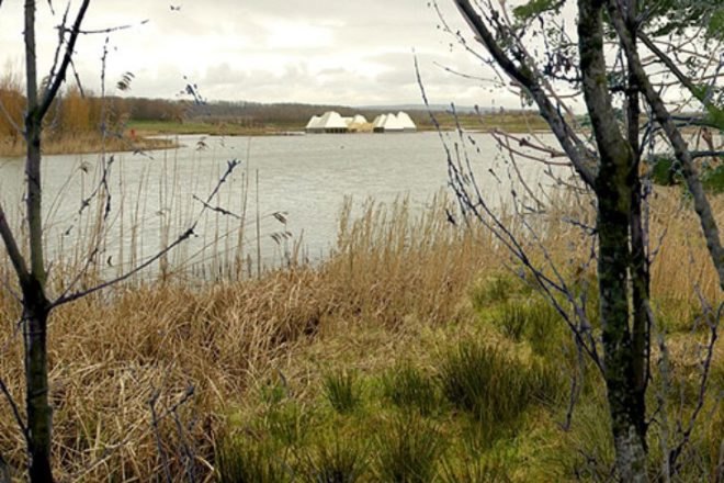 Brockholes Visitor Center, visitor centre, nature reserve, brockholes, adam khan architects, uk, breeam outstanding, green building