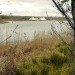 Brockholes Visitor Center, visitor centre, nature reserve, brockholes, adam khan architects, uk, breeam outstanding, green building