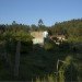 cork house, Arquitectos Anónimos, portugal, cork, cork exterior, green design, renewable resource