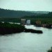 Russian festival, floating Finnish sauna, Festival of Landscape Objects, Sauna, tree on roof, floating house, floating houses, green sauna, Rintala Eggertsson Architects