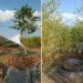 Greenbriar Rooftop Garden, Intexure, Houston Medical Center, rooftop garden, green roof, parking garage rooftop garden, green design