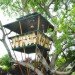 bamboo architecture, eco architecture, bamboo, bamboo treehouse, treehouse, tree house, eco design, green design, sustainable design, hooch, bamboo hooch, luna hooch, sunset hooch, jo scheer, bamboo house, green home, green house