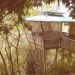 bamboo architecture, eco architecture, bamboo, bamboo treehouse, treehouse, tree house, eco design, green design, sustainable design, hooch, bamboo hooch, luna hooch, sunset hooch, jo scheer, bamboo house, green home, green house
