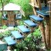 bamboo architecture, eco architecture, bamboo, bamboo treehouse, treehouse, tree house, eco design, green design, sustainable design, hooch, bamboo hooch, luna hooch, sunset hooch, jo scheer, bamboo house, green home, green house