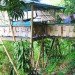 bamboo architecture, eco architecture, bamboo, bamboo treehouse, treehouse, tree house, eco design, green design, sustainable design, hooch, bamboo hooch, luna hooch, sunset hooch, jo scheer, bamboo house, green home, green house
