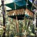 bamboo architecture, eco architecture, bamboo, bamboo treehouse, treehouse, tree house, eco design, green design, sustainable design, hooch, bamboo hooch, luna hooch, sunset hooch, jo scheer, bamboo house, green home, green house