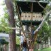 bamboo architecture, eco architecture, bamboo, bamboo treehouse, treehouse, tree house, eco design, green design, sustainable design, hooch, bamboo hooch, luna hooch, sunset hooch, jo scheer, bamboo house, green home, green house