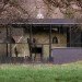 Architectural Bureau G.Natkevicius & Partners, pavilniai, family house, house within a house, home within a home, house wrapped in glass, renovation, restored home, green home, renovated home, green design, restoration, preservation, reclaimed materials, eco design,