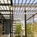 lance armstrong foundation, lake flato architects, austin, texas, green renovation, eco office, sustainable architecture