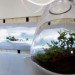 Museum of Modern Art, Paula Hayes, Marianne Boesky, Terrarium, Landscaping, eco-art, W Hotel, Tang Museum, Wexner Center, Garden, planters