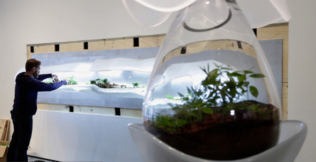 Museum of Modern Art, Paula Hayes, Marianne Boesky, Terrarium, Landscaping, eco-art, W Hotel, Tang Museum, Wexner Center, Garden, planters