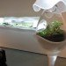 Museum of Modern Art, Paula Hayes, Marianne Boesky, Terrarium, Landscaping, eco-art, W Hotel, Tang Museum, Wexner Center, Garden, planters
