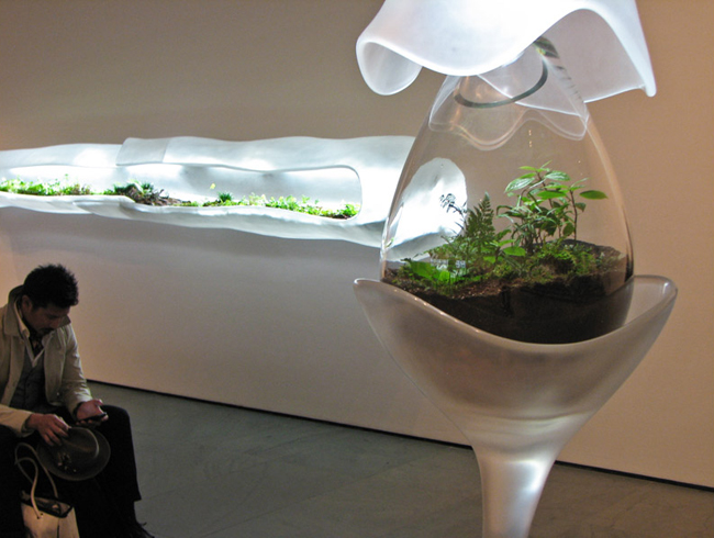 Museum of Modern Art, Paula Hayes, Marianne Boesky, Terrarium, Landscaping, eco-art, W Hotel, Tang Museum, Wexner Center, Garden, planters