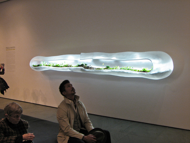 Museum of Modern Art, Paula Hayes, Marianne Boesky, Terrarium, Landscaping, eco-art, W Hotel, Tang Museum, Wexner Center, Garden, planters