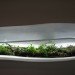 Museum of Modern Art, Paula Hayes, Marianne Boesky, Terrarium, Landscaping, eco-art, W Hotel, Tang Museum, Wexner Center, Garden, planters