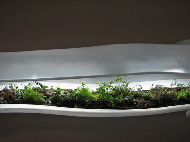 Museum of Modern Art, Paula Hayes, Marianne Boesky, Terrarium, Landscaping, eco-art, W Hotel, Tang Museum, Wexner Center, Garden, planters