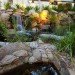 Phillip Johnson, Phillip Johnson Sustainable Landscape Systems, billabongs, natural swimming pools, green swimming pools, chlorine free swimming pools, naturally filtered swimming pools, rock pools, alternative saltwater pools, non toxic swimming pools australian plant life, aquatic plant gardening