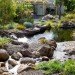 Phillip Johnson, Phillip Johnson Sustainable Landscape Systems, billabongs, natural swimming pools, green swimming pools, chlorine free swimming pools, naturally filtered swimming pools, rock pools, alternative saltwater pools, non toxic swimming pools australian plant life, aquatic plant gardening