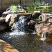 Phillip Johnson, Phillip Johnson Sustainable Landscape Systems, billabongs, natural swimming pools, green swimming pools, chlorine free swimming pools, naturally filtered swimming pools, rock pools, alternative saltwater pools, non toxic swimming pools australian plant life, aquatic plant gardening