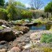 Phillip Johnson, Phillip Johnson Sustainable Landscape Systems, billabongs, natural swimming pools, green swimming pools, chlorine free swimming pools, naturally filtered swimming pools, rock pools, alternative saltwater pools, non toxic swimming pools australian plant life, aquatic plant gardening