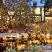 Phillip Johnson, Phillip Johnson Sustainable Landscape Systems, billabongs, natural swimming pools, green swimming pools, chlorine free swimming pools, naturally filtered swimming pools, rock pools, alternative saltwater pools, non toxic swimming pools australian plant life, aquatic plant gardening