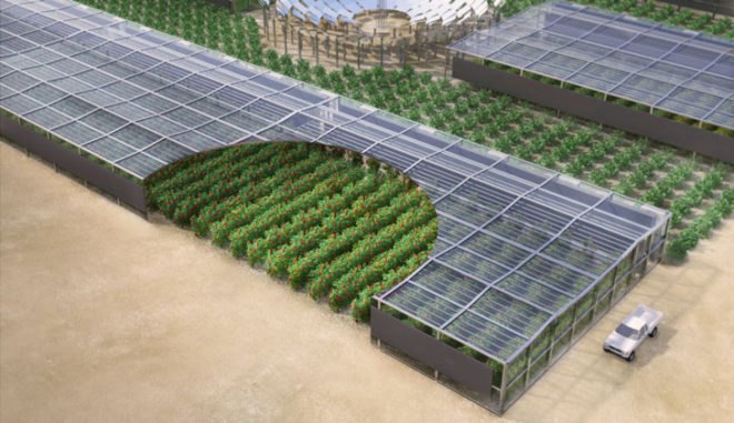 sahara forest project, sahara forest project aqaba jordan, sahara forest project development, renewable resources