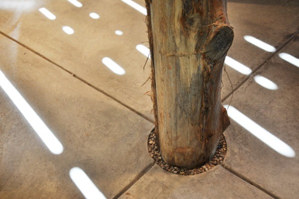Yew Dell Gardens Visitor Center, green renovation, historic renvoation, tobacco barn, de leon & primer architecture workshop