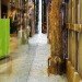 Yew Dell Gardens Visitor Center, green renovation, historic renvoation, tobacco barn, de leon & primer architecture workshop