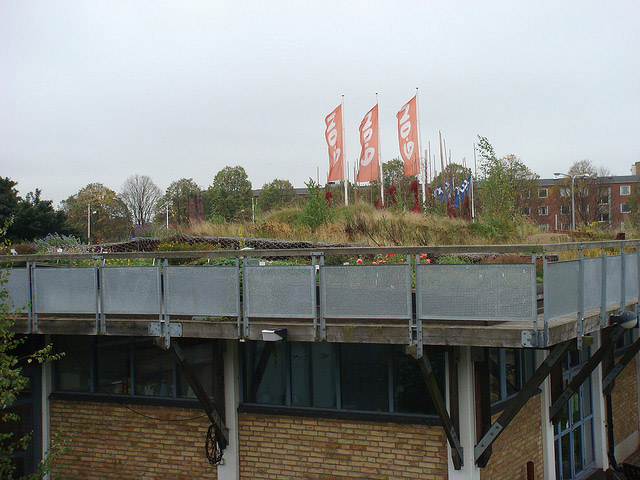 Augustenborg Botanical Roof Garden,Augustenborg Botanical Garden, green roof , roof garden, eco design, green design, gardening, rooftop garden, sustainable design, Augustenborg, botanical garden, living roof, ecocity augustenborg