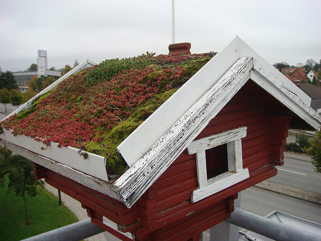 Augustenborg Botanical Roof Garden,Augustenborg Botanical Garden, green roof , roof garden, eco design, green design, gardening, rooftop garden, sustainable design, Augustenborg, botanical garden, living roof, ecocity augustenborg