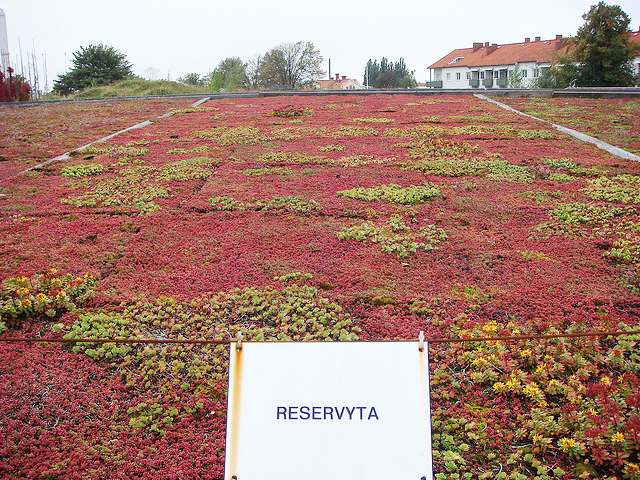 Augustenborg Botanical Roof Garden,Augustenborg Botanical Garden, green roof , roof garden, eco design, green design, gardening, rooftop garden, sustainable design, Augustenborg, botanical garden, living roof, ecocity augustenborg