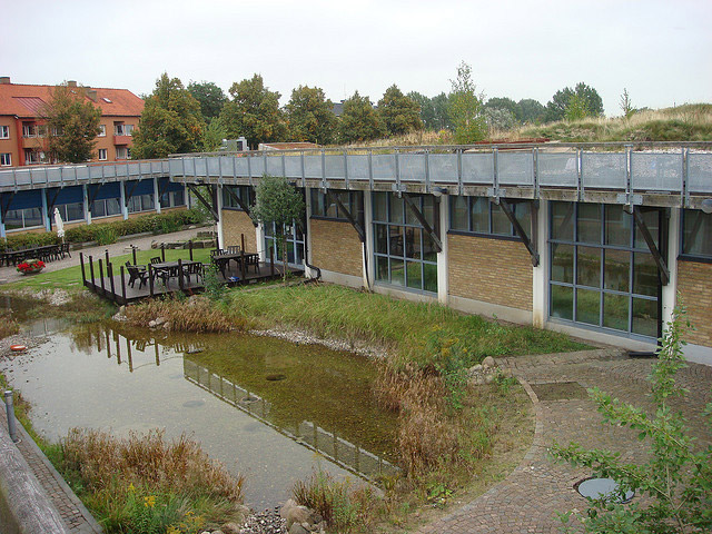 Augustenborg Botanical Roof Garden,Augustenborg Botanical Garden, green roof , roof garden, eco design, green design, gardening, rooftop garden, sustainable design, Augustenborg, botanical garden, living roof, ecocity augustenborg