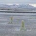 bio-domes, poo-gloos, wastewater compliance systems, bio domes wastewater treatment, poo gloos wastewater treatment, sustainable wastewater treatment