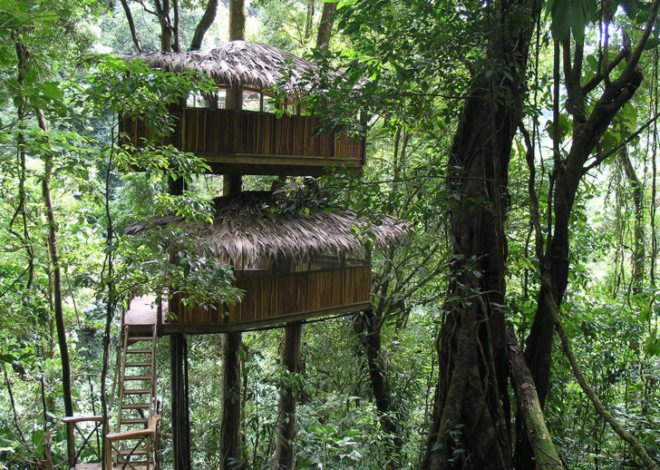 Finca Bellavista sustainable rainforest community, Eco costa rica community, green rainforest architecture, rainforest ewok huts, sustainable rain forest design, finca bellavista, tree houses, rainforest tree houses, costa rica tree house community, costa rica eco-architecture, green design