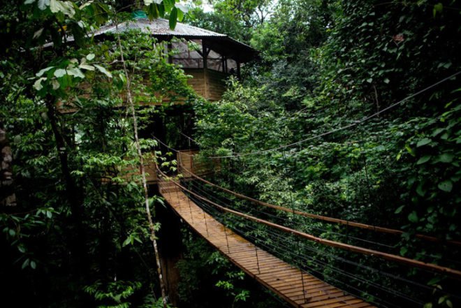 Finca Bellavista sustainable rainforest community, Eco costa rica community, green rainforest architecture, rainforest ewok huts, sustainable rain forest design, finca bellavista, tree houses, rainforest tree houses, costa rica tree house community, costa rica eco-architecture, green design