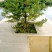 Russian festival, floating Finnish sauna, Festival of Landscape Objects, Sauna, tree on roof, floating house, floating houses, green sauna, Rintala Eggertsson Architects