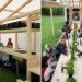 liced Stable, Overtreders W, green pavillion, post and beam, art pavilion, Netherlands art