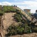 diana balmori, nyc, nyc green roof, green roof, green home, green apartment, green architecture, diana balmori, balmori, eco design, green design, new york city, sustainable design, lower east side apartment, 684 broadway, manhattan penthouse