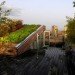 diana balmori, nyc, nyc green roof, green roof, green home, green apartment, green architecture, diana balmori, balmori, eco design, green design, new york city, sustainable design, lower east side apartment, 684 broadway, manhattan penthouse