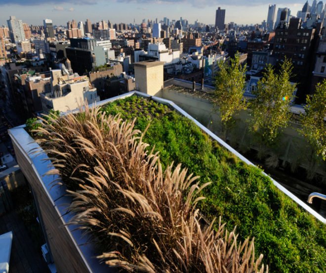 diana balmori, nyc, nyc green roof, green roof, green home, green apartment, green architecture, diana balmori, balmori, eco design, green design, new york city, sustainable design, lower east side apartment, 684 broadway, manhattan penthouse