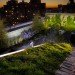 diana balmori, nyc, nyc green roof, green roof, green home, green apartment, green architecture, diana balmori, balmori, eco design, green design, new york city, sustainable design, lower east side apartment, 684 broadway, manhattan penthouse