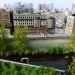 diana balmori, nyc, nyc green roof, green roof, green home, green apartment, green architecture, diana balmori, balmori, eco design, green design, new york city, sustainable design, lower east side apartment, 684 broadway, manhattan penthouse