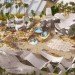 BOOM, eco community, palm springs, master planned community, green architecture