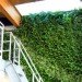 Bertschi Science Wing, Bertschi School, Living Building, Restorative Design Collective, KMD Architects, Eco school