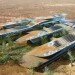 Botswana Innovation Hub, green roof, shop architects, botswana, green building, high tech campus