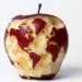 Kevin Van Aelst, photography, eco art, repurposed materials, New York Times Magazine, food photography