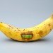 Kevin Van Aelst, photography, eco art, repurposed materials, New York Times Magazine, food photography