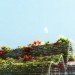 Kubota & Bachmann,Kaohsiung Port & Cruise Center, Kaohsiung architecture, green architecture, eco architecture, green design, sustainable design, kubota bachmann, green roof, vegetative carpet, planted roof, taiwan architecture